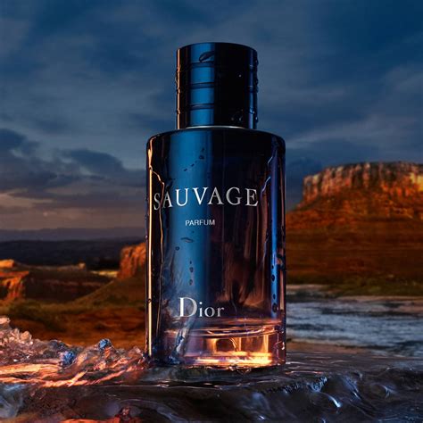 sauvage dior parfym|dior sauvage 100ml best price.